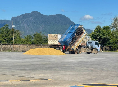 ติดตามการรวบรวมผลผลิตข้าวเปลือก ปี 2568/69 ... พารามิเตอร์รูปภาพ 5