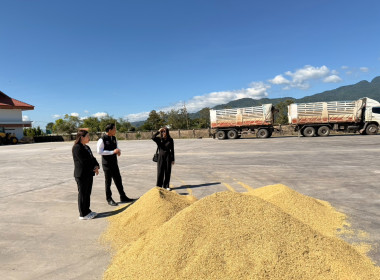 ติดตามการรวบรวมผลผลิตข้าวเปลือก ปี 2568/69 ... พารามิเตอร์รูปภาพ 12