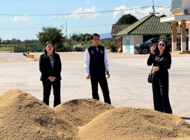 ติดตามการรวบรวมผลผลิตข้าวเปลือก ปี 2568/69 ... พารามิเตอร์รูปภาพ 13