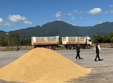 ติดตามการรวบรวมผลผลิตข้าวเปลือก ปี 2568/69 ... พารามิเตอร์รูปภาพ 17