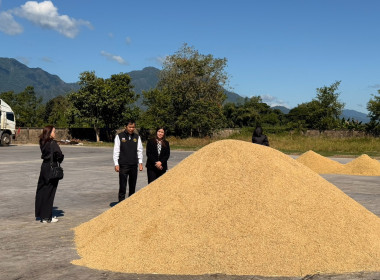 ติดตามการรวบรวมผลผลิตข้าวเปลือก ปี 2568/69 ... พารามิเตอร์รูปภาพ 18