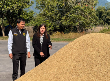 ติดตามการรวบรวมผลผลิตข้าวเปลือก ปี 2568/69 ... พารามิเตอร์รูปภาพ 19