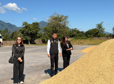 ติดตามการรวบรวมผลผลิตข้าวเปลือก ปี 2568/69 ... พารามิเตอร์รูปภาพ 21