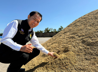 ติดตามการรวบรวมผลผลิตข้าวเปลือก ปี 2568/69 ... พารามิเตอร์รูปภาพ 25