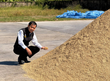 ติดตามการรวบรวมผลผลิตข้าวเปลือก ปี 2568/69 ... พารามิเตอร์รูปภาพ 26