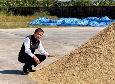 ติดตามการรวบรวมผลผลิตข้าวเปลือก ปี 2568/69 ... พารามิเตอร์รูปภาพ 27