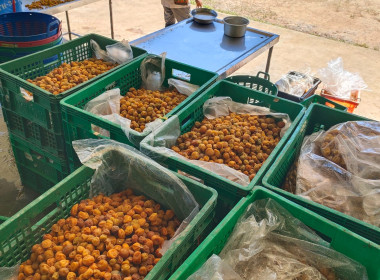 ประชุมคณะกรรมการดำเนินการสหกรณ์การเกษตรโครงการหลวงห้วยน้ำขุ่น จำกัด ... พารามิเตอร์รูปภาพ 6