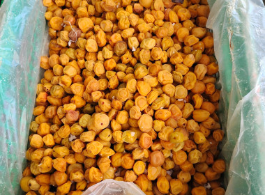 ประชุมคณะกรรมการดำเนินการสหกรณ์การเกษตรโครงการหลวงห้วยน้ำขุ่น จำกัด ... พารามิเตอร์รูปภาพ 7