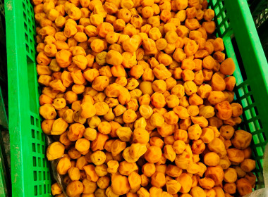 ประชุมคณะกรรมการดำเนินการสหกรณ์การเกษตรโครงการหลวงห้วยน้ำขุ่น จำกัด ... พารามิเตอร์รูปภาพ 8