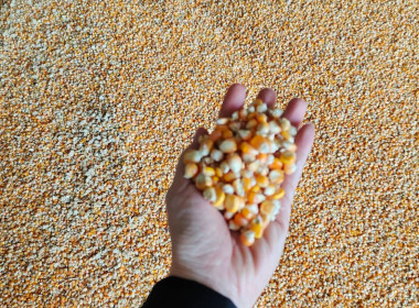 ประชุมคณะกรรมการดำเนินการสหกรณ์การเกษตรแม่สรวย จำกัด พารามิเตอร์รูปภาพ 8