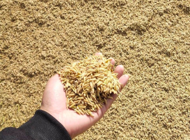 ประชุมคณะกรรมการดำเนินการสหกรณ์การเกษตรแม่สรวย จำกัด พารามิเตอร์รูปภาพ 10