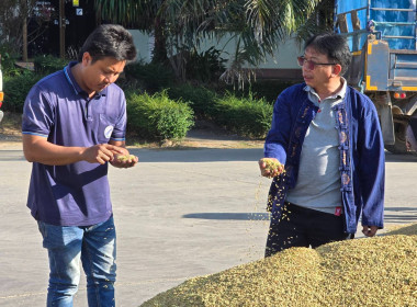 ติดตามการรวบรวมผลผลิตข้าวเปลือก ปี 2568/69 ... พารามิเตอร์รูปภาพ 2