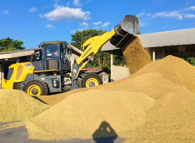 ติดตามการรวบรวมผลผลิตข้าวเปลือก ปี 2568/69 ... พารามิเตอร์รูปภาพ 4