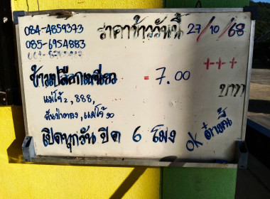 ติดตามการรวบรวมผลผลิตข้าวเปลือก ปี 2568/69 ... พารามิเตอร์รูปภาพ 7