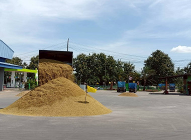 ลงพื้นที่ติดตามการรวบรวมผลผลิตข้าวเปลือก ปี 2568/69 ณ ... พารามิเตอร์รูปภาพ 5