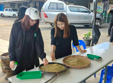 ติดตามการรวบรวมผลผลิตข้าวเปลือก ปี 2568/69 ... พารามิเตอร์รูปภาพ 5