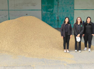 ติดตามการรวบรวมผลผลิตข้าวเปลือก ปี 2568/69 ... พารามิเตอร์รูปภาพ 8