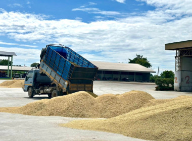 ติดตามการรวบรวมผลผลิตข้าวเปลือก ปี 2568/69 ... พารามิเตอร์รูปภาพ 10