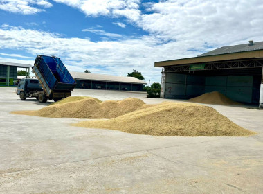 ติดตามการรวบรวมผลผลิตข้าวเปลือก ปี 2568/69 ... พารามิเตอร์รูปภาพ 13