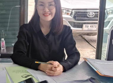 ติดตามการจัดทำเอกสารทางการบัญชี ... พารามิเตอร์รูปภาพ 2