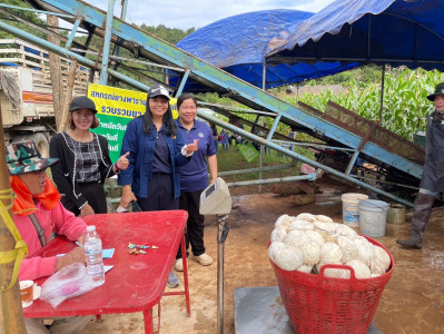 ติดตามการรวบรวมผลผลิตยางพารา ก้อนถ้วยสด ... พารามิเตอร์รูปภาพ 1