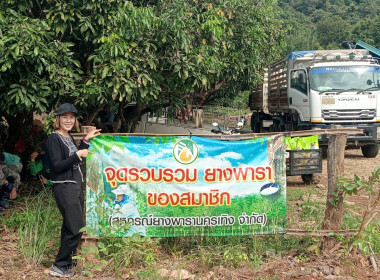 ติดตามการรวบรวมผลผลิตยางพารา ก้อนถ้วยสด ... พารามิเตอร์รูปภาพ 1