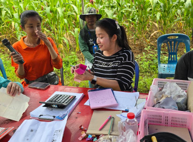 ติดตามการรวบรวมผลผลิตยางพารา ก้อนถ้วยสด ... พารามิเตอร์รูปภาพ 2