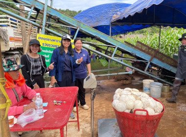 ติดตามการรวบรวมผลผลิตยางพารา ก้อนถ้วยสด ... พารามิเตอร์รูปภาพ 6