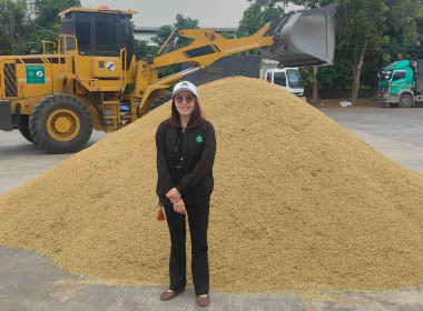 ติดตามการรวบรวมผลผลิตข้าวเปลือก ปี 2568/69 ... พารามิเตอร์รูปภาพ 7