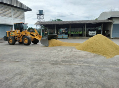 ติดตามการรวบรวมผลผลิตข้าวเปลือก ปี 2568/69 ... พารามิเตอร์รูปภาพ 10