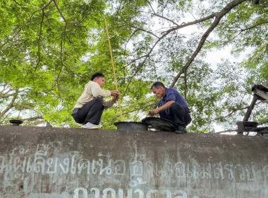 เข้าร่วมสังเกตการณ์ การตรวจนับสินค้าคงเหลือ ... พารามิเตอร์รูปภาพ 6