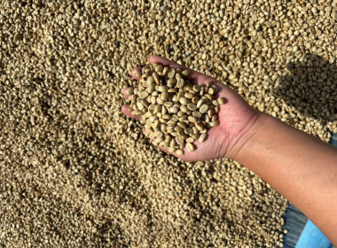 โครงการอบรม "แนวทางการสร้างความเข้มแข็งและพัฒนางานสหกรณ์" พารามิเตอร์รูปภาพ 11