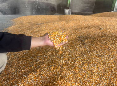 ติดตามผลการดำเนินงานของสหกรณ์การเกษตรเวียงป่าเป้า จำกัด พารามิเตอร์รูปภาพ 1