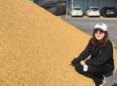 ติดตามการรวบรวมผลผลิตข้าวเปลือก ปี 2568/69 ... พารามิเตอร์รูปภาพ 5