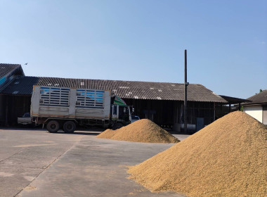 ติดตามการรวบรวมผลผลิตข้าวเปลือก ปี 2568/69 ... พารามิเตอร์รูปภาพ 10