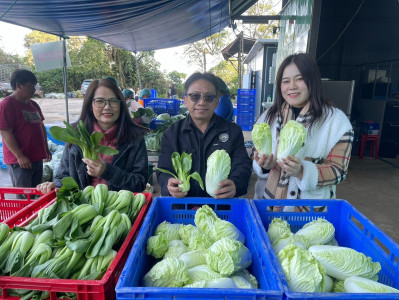 ร่วมลงพื้นที่ตรวจเยี่ยมติดตามผลการดำเนินงานของสหกรณ์ผักปลอดภัยภูทับเบิก จำกัด ... พารามิเตอร์รูปภาพ 1