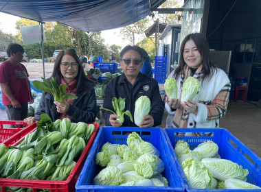 ร่วมลงพื้นที่ตรวจเยี่ยมติดตามผลการดำเนินงานของสหกรณ์ผักปลอดภัยภูทับเบิก จำกัด ... พารามิเตอร์รูปภาพ 11