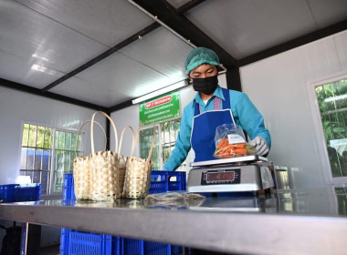 ร่วมลงพื้นที่ตรวจเยี่ยมติดตามผลการดำเนินงานของสหกรณ์ผักปลอดภัยภูทับเบิก จำกัด ... พารามิเตอร์รูปภาพ 5