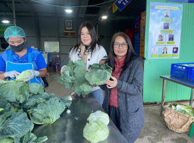 ร่วมลงพื้นที่ตรวจเยี่ยมติดตามผลการดำเนินงานของสหกรณ์ผักปลอดภัยภูทับเบิก จำกัด ... พารามิเตอร์รูปภาพ 12