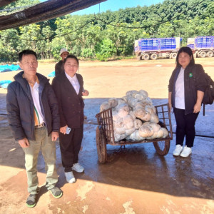 ติดตามธุรกิจรวบรวมผลผลิตยางพาราของกลุ่มเกษตรกรชาวสวนยางพาราตำบลสันสลี ... พารามิเตอร์รูปภาพ 1