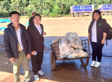 ติดตามธุรกิจรวบรวมผลผลิตยางพาราของกลุ่มเกษตรกรชาวสวนยางพาราตำบลสันสลี ... พารามิเตอร์รูปภาพ 1