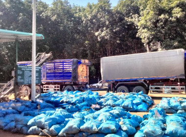 ติดตามธุรกิจรวบรวมผลผลิตยางพาราของกลุ่มเกษตรกรชาวสวนยางพาราตำบลสันสลี ... พารามิเตอร์รูปภาพ 6