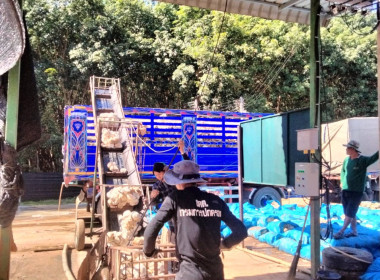 ติดตามธุรกิจรวบรวมผลผลิตยางพาราของกลุ่มเกษตรกรชาวสวนยางพาราตำบลสันสลี ... พารามิเตอร์รูปภาพ 10