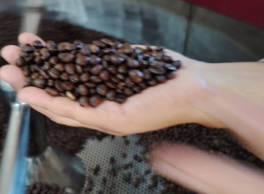 ติดตามการดำเนินงานโครงการส่งเสริมการแปรรูปสินค้าเกษตร สหกรณ์การเกษตรพัฒนาพื้นที่สูงแบบโครงการหลวงวาวี จำกัด ... พารามิเตอร์รูปภาพ 2