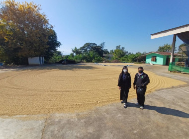 เข้าตรวจเยี่ยมติดตามการดำเนินงานการรวบรวมผลผลิตทางการเกษตร ณ สหกรณ์การเกษตรแม่สรวย จำกัด ... พารามิเตอร์รูปภาพ 2