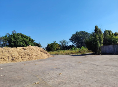 เข้าตรวจเยี่ยมติดตามการดำเนินงานการรวบรวมผลผลิตทางการเกษตร ณ สหกรณ์การเกษตรแม่สรวย จำกัด ... พารามิเตอร์รูปภาพ 6