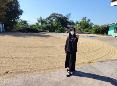 เข้าตรวจเยี่ยมติดตามการดำเนินงานการรวบรวมผลผลิตทางการเกษตร ณ สหกรณ์การเกษตรแม่สรวย จำกัด ... พารามิเตอร์รูปภาพ 4