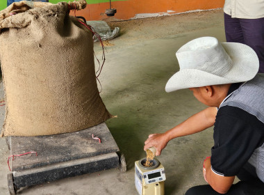 เข้าร่วมสังเกตการณ์ การสีทดสอบคุณภาพข้าว ... พารามิเตอร์รูปภาพ 3