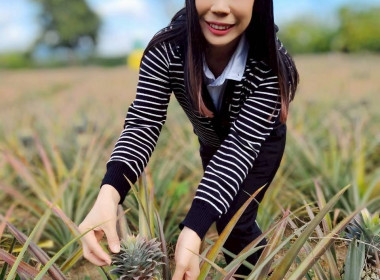 ติดตามการดำเนินงานกลุ่มอาชีพสังกัดสหกรณ์ พารามิเตอร์รูปภาพ 1