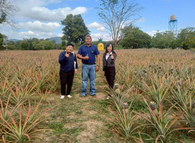 ติดตามการดำเนินงานกลุ่มอาชีพสังกัดสหกรณ์ พารามิเตอร์รูปภาพ 2